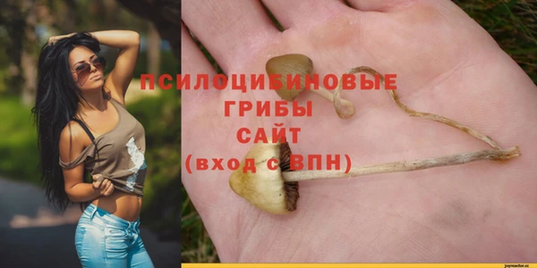 PSILOCYBIN Верхний Тагил